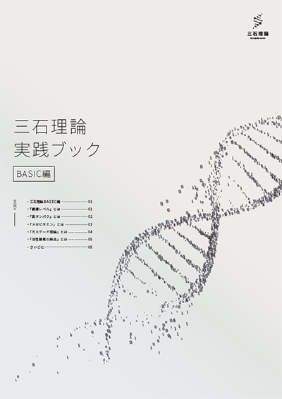 三石理論実践ブックPDF